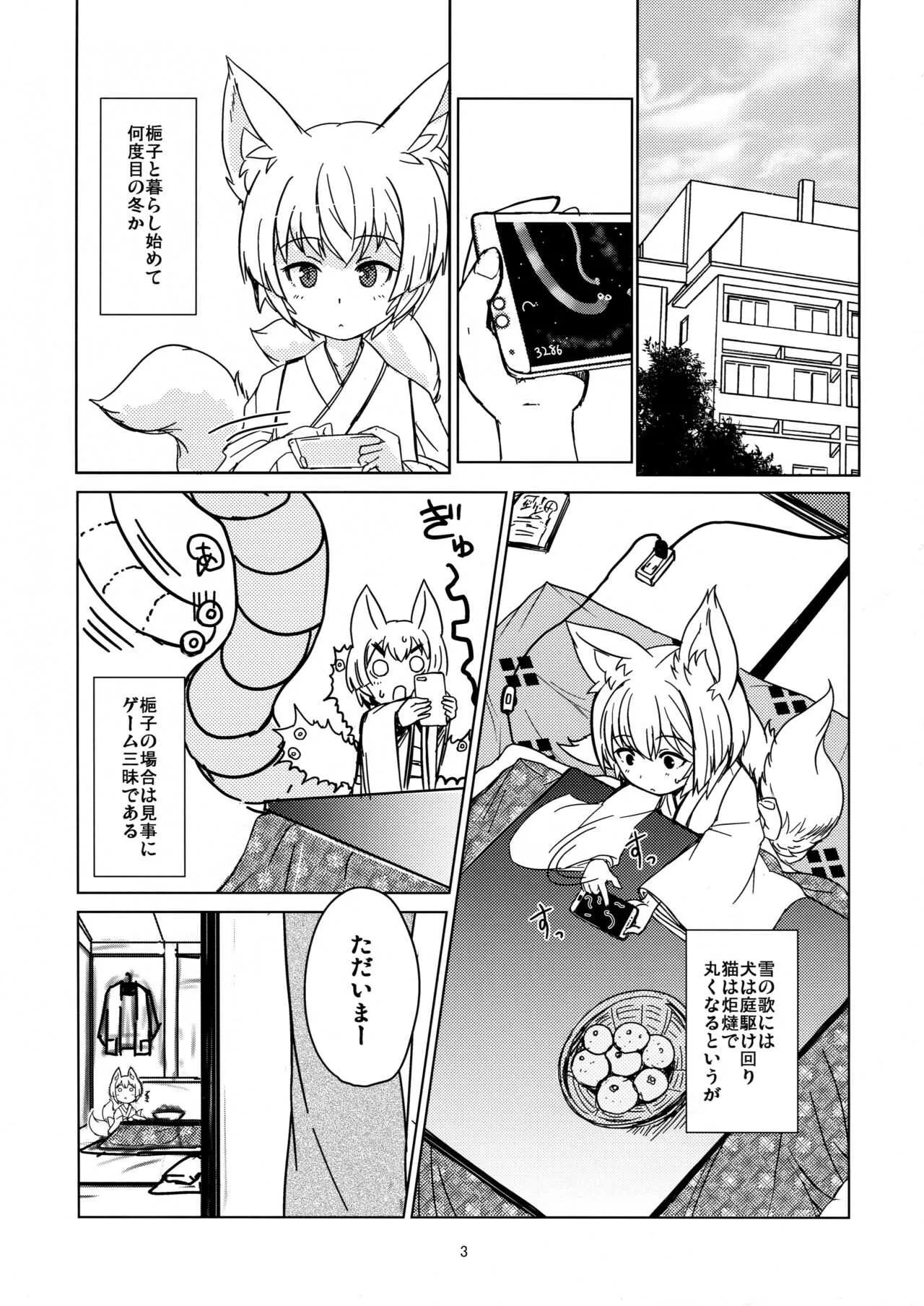 (C95) [端末異常 (BadHanD)] 白狐の杜其の拾壱_3