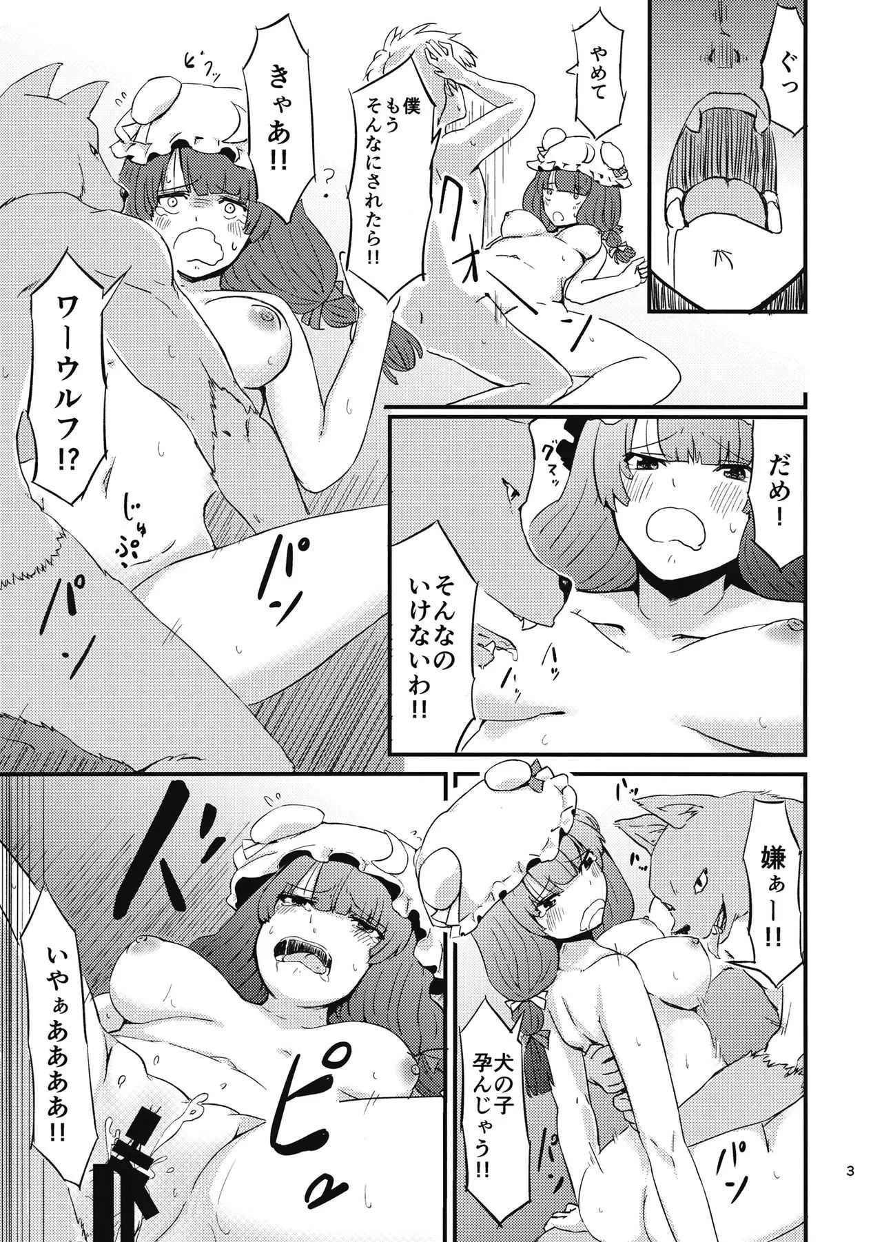 (紅楼夢13) [幻想影燈籠 (amidara)] 残念パチュリーのうっかり召喚術2 (東方Project)_4