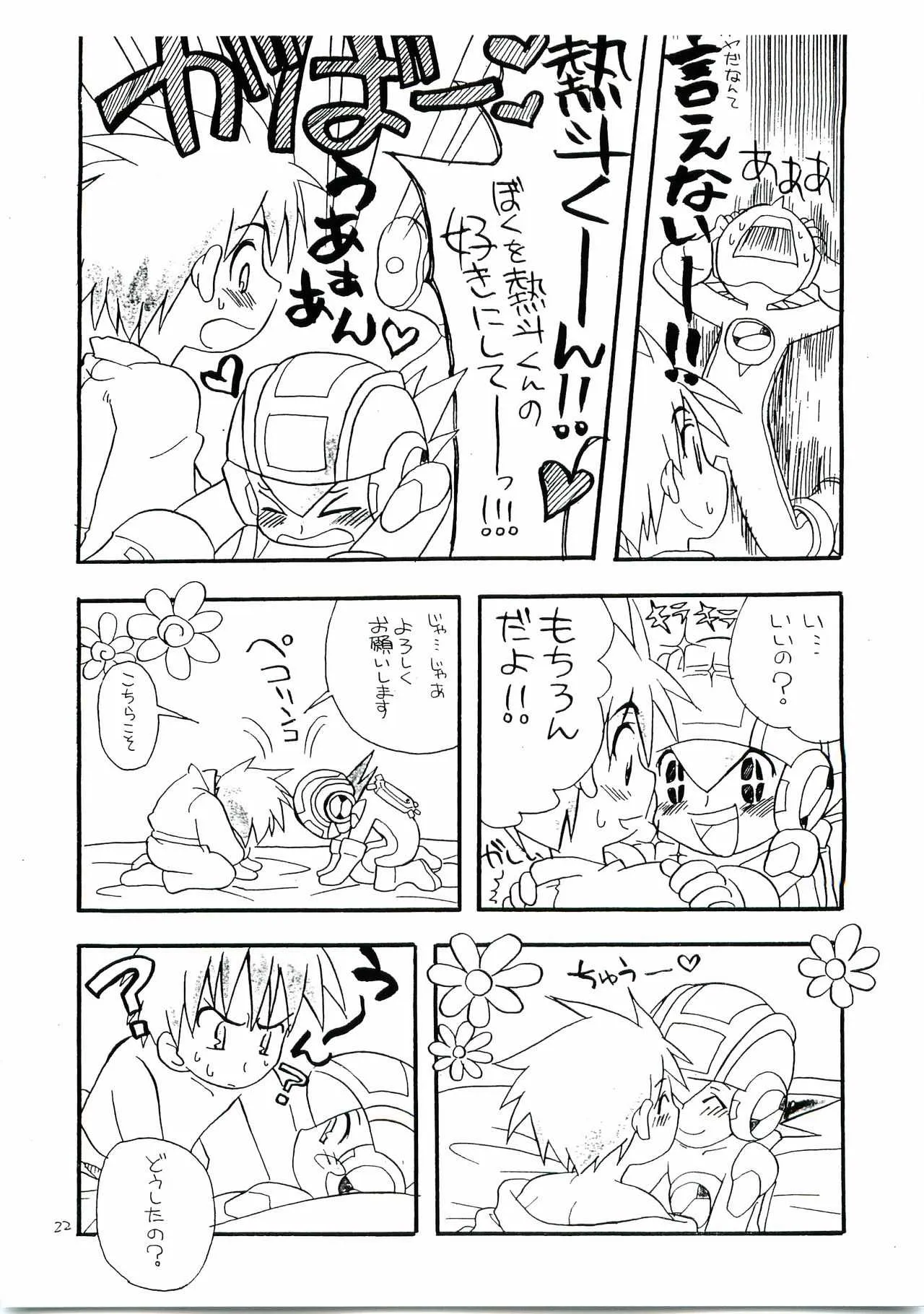 image_21