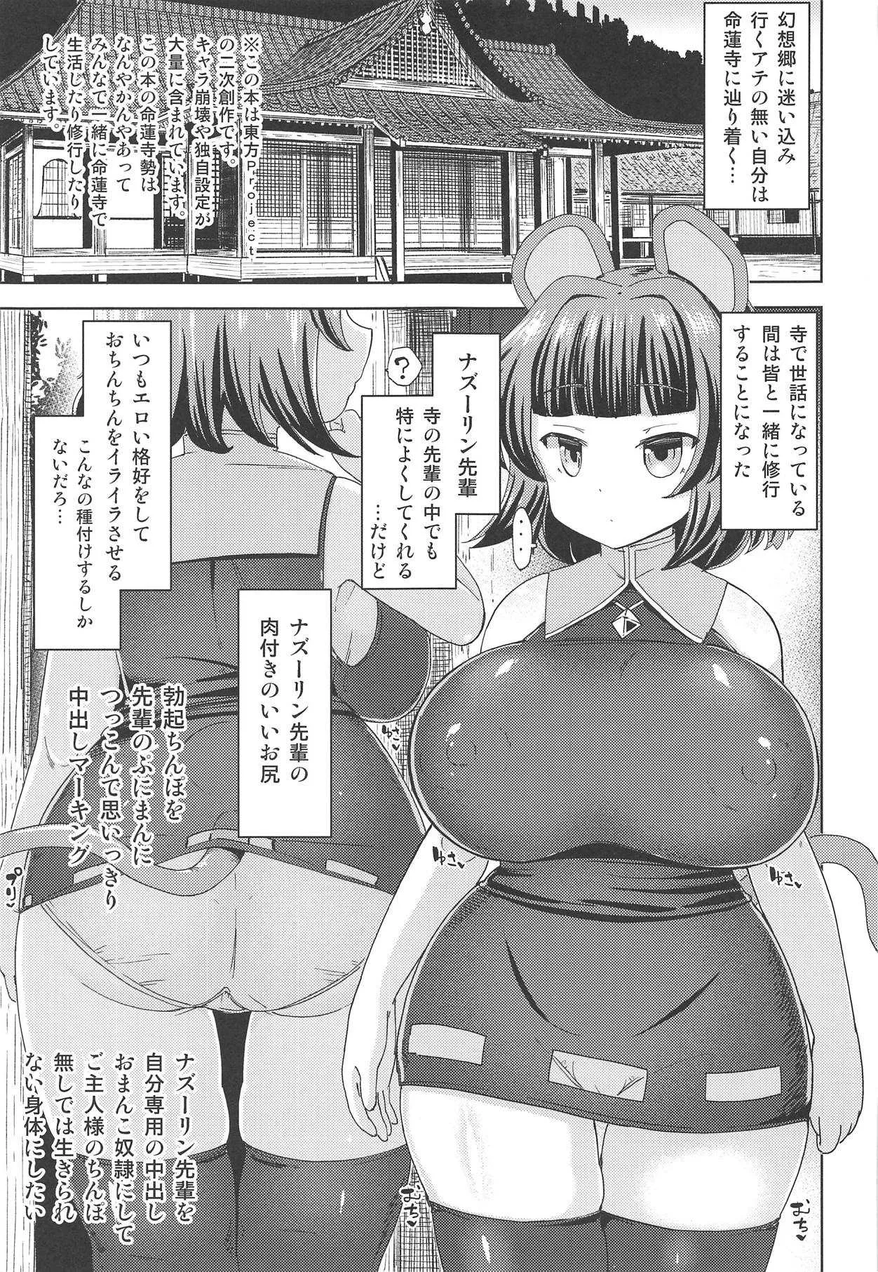 (名華祭13) [ひめぷち亭 (ハマブリッチ)] ナズーリン先輩のいいよ (東方Project)_2