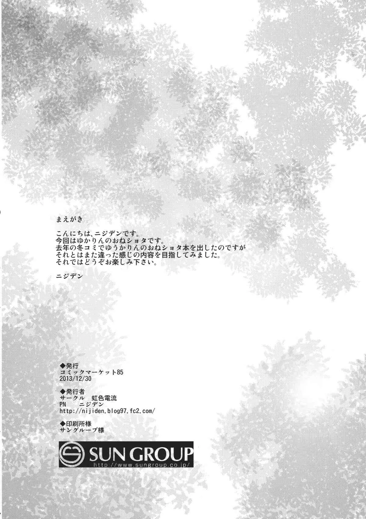 (C85) [虹色電流 (ニジデン)] Yakumory (東方Project)_4