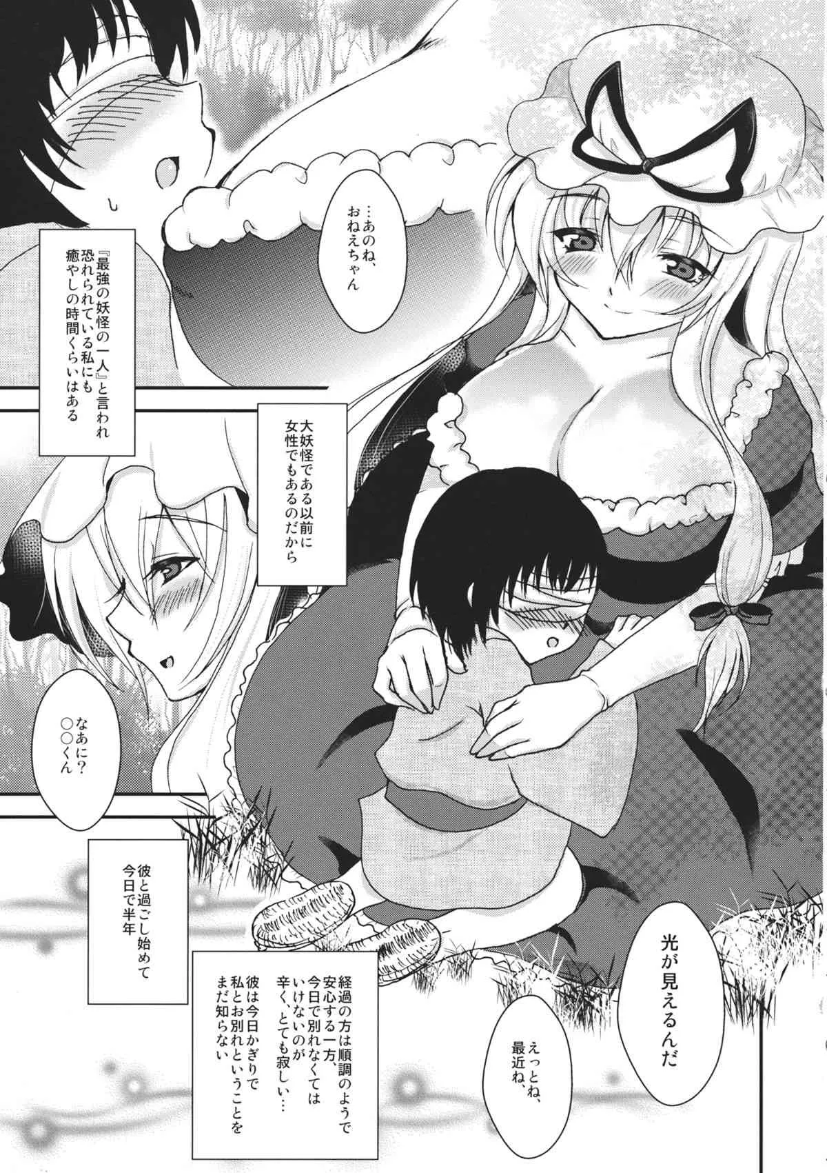 (C85) [虹色電流 (ニジデン)] Yakumory (東方Project)_5