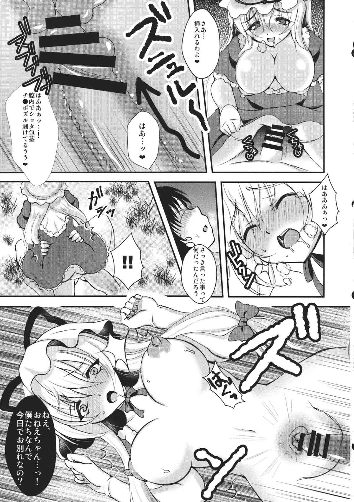 (C85) [虹色電流 (ニジデン)] Yakumory (東方Project)_9