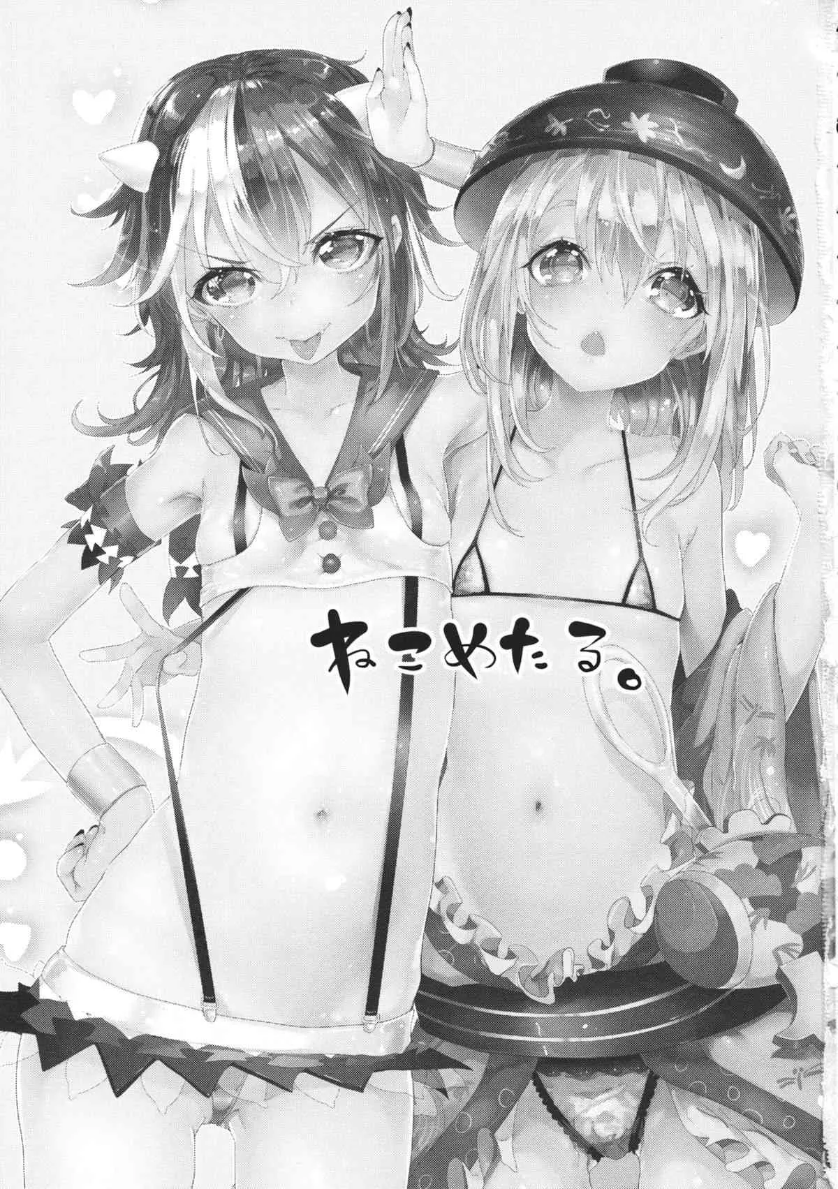 (C85) [合衆国ネタメコル (ねこめたる)] WTK -wellcome to kisinjou- (東方Project)_2