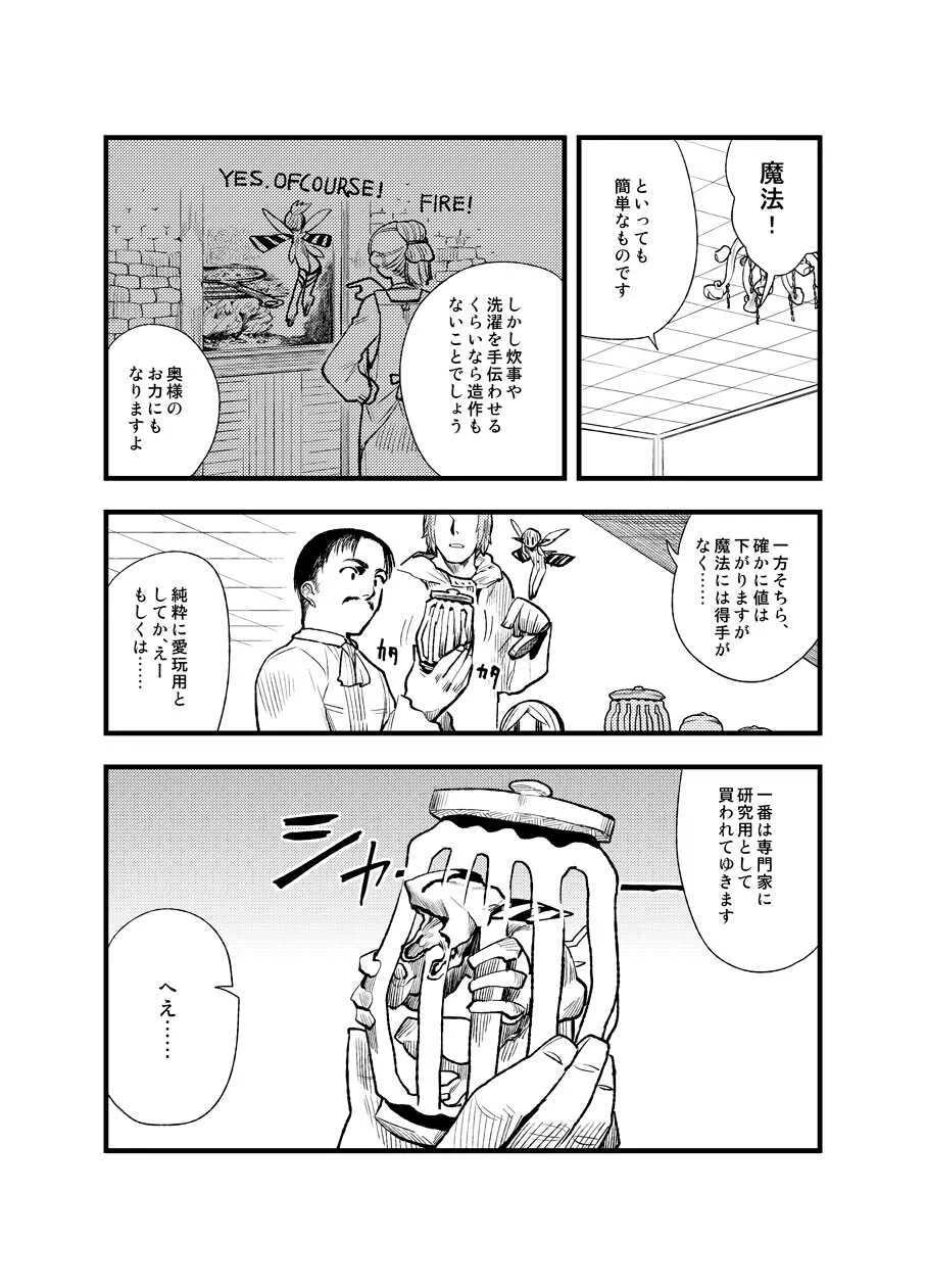 [綿衣テクタイト (鶴・鶴淵けんじ)] フェルナンデス ピクシー ショップ_6