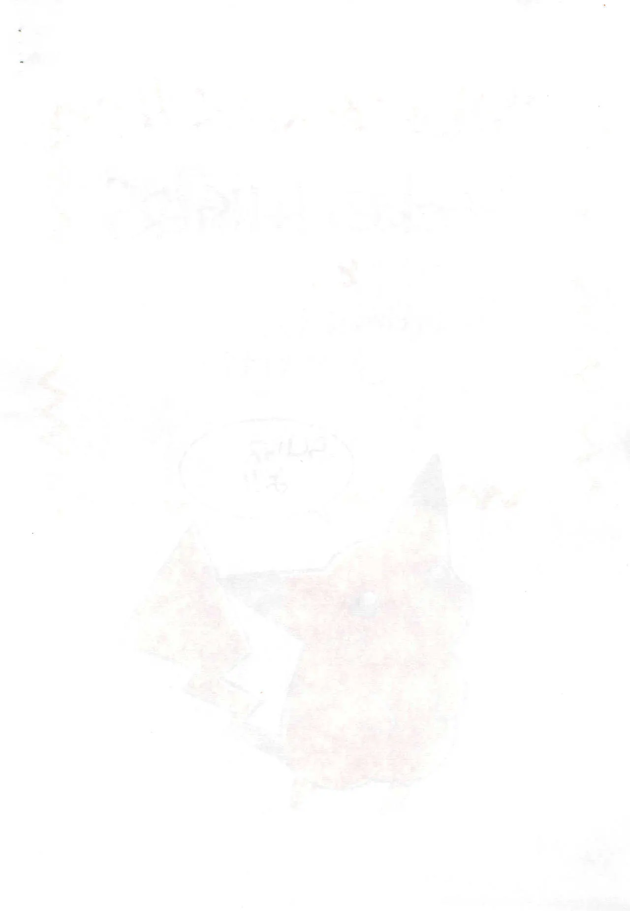 image_11