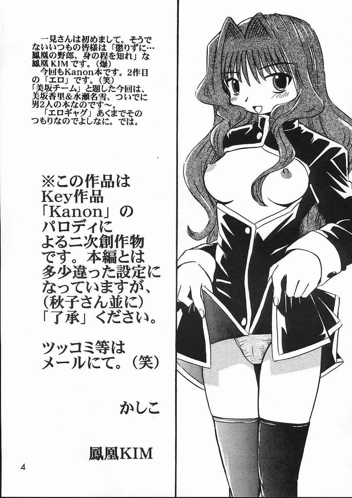 [SOUL COMPANY (鳳凰KIM)] 美坂チーム The Team Misaka (カノン)_3
