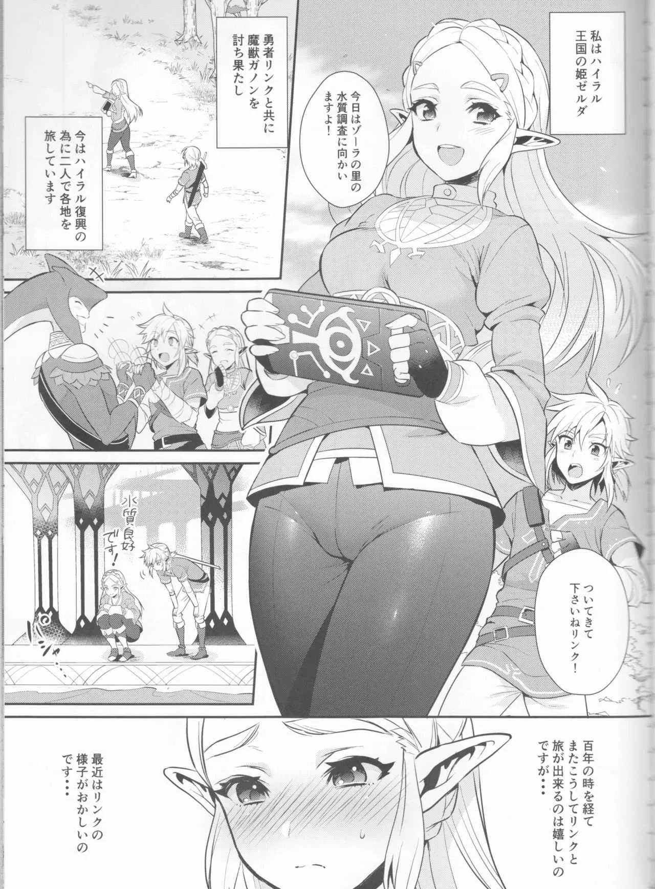 (C93) [もりっとこけ (もり苔)] ハイラル繁栄のためのかつどう! (ゼルダの伝説)_4