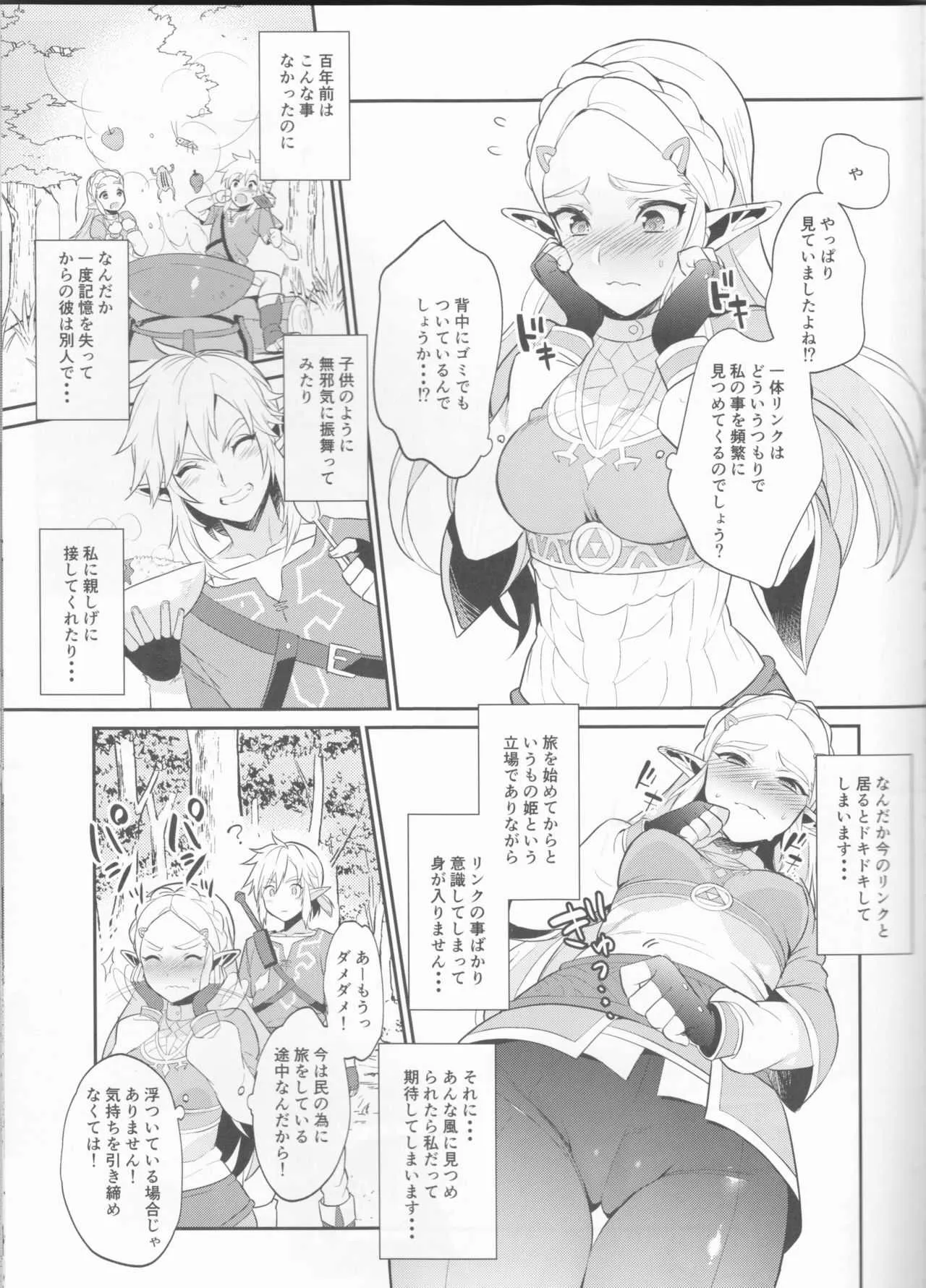(C93) [もりっとこけ (もり苔)] ハイラル繁栄のためのかつどう! (ゼルダの伝説)_6