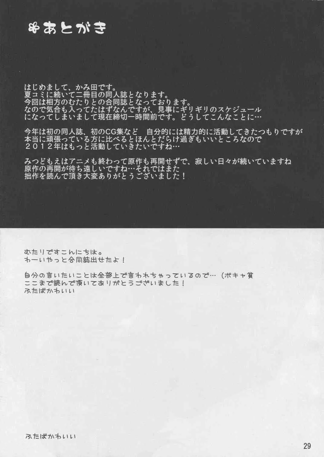 image_27