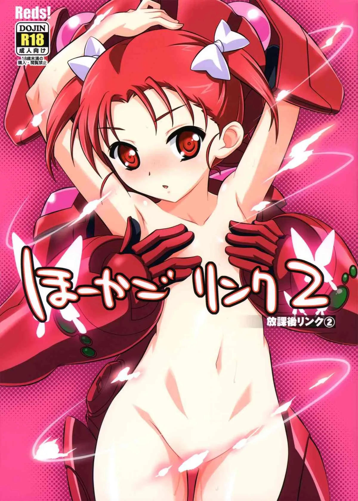 (C84) [Reds! (蒼月裕忠)] ほーかごリンク2 (アクセル・ワールド)