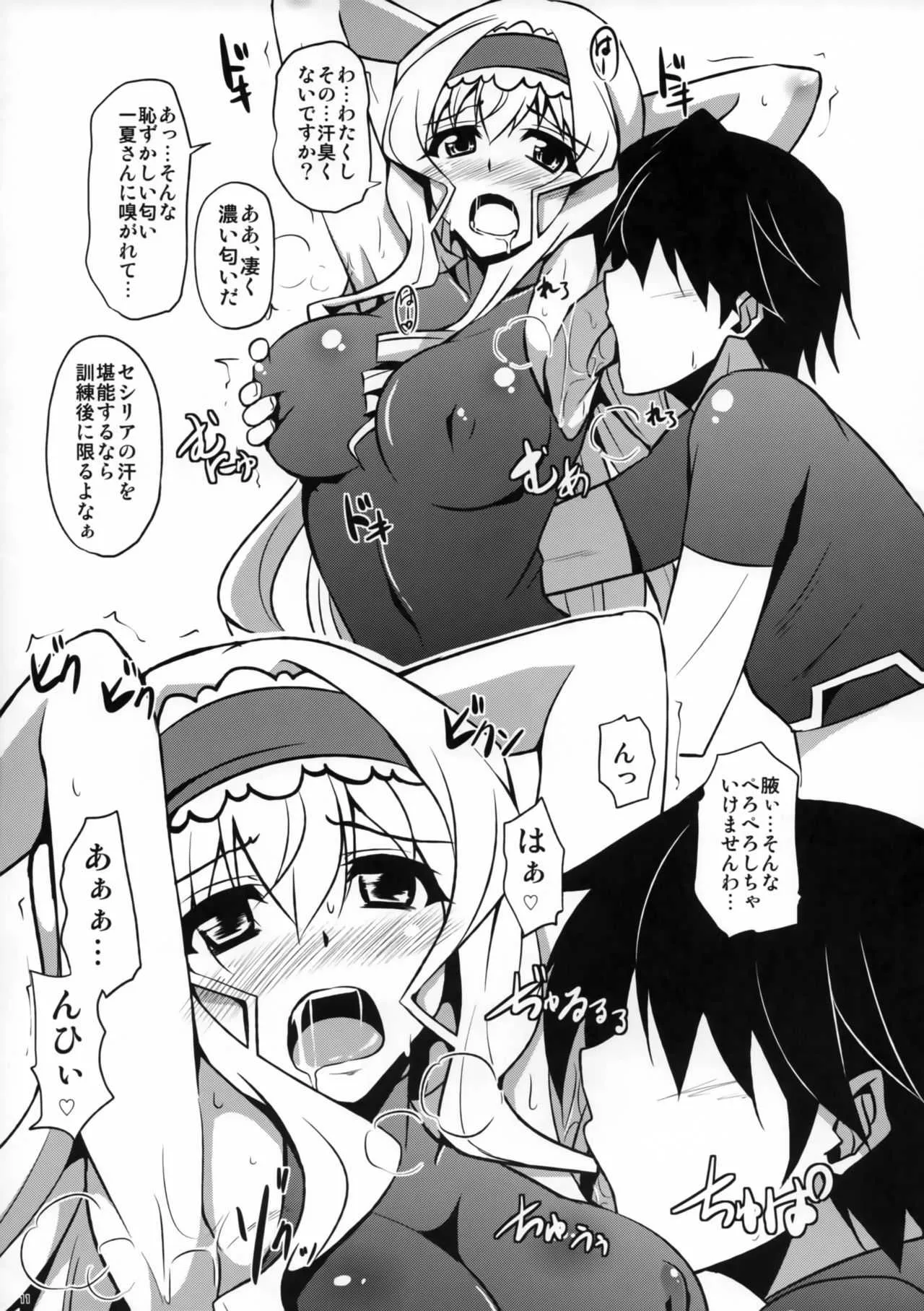 (C80) [何処までも蒼い空に浮かぶ肉。 (肉そうきゅー。)] ついきゅん (IS＜インフィニット・ストラトス＞)_10