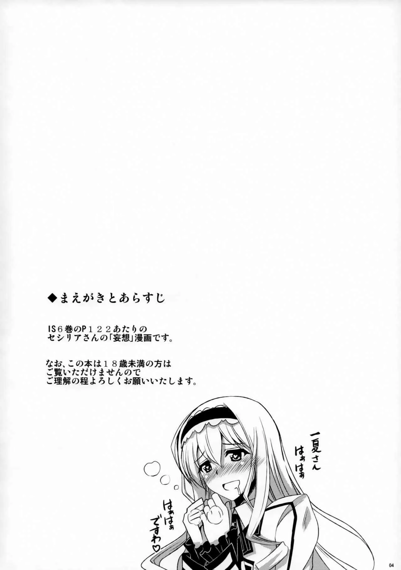(C80) [何処までも蒼い空に浮かぶ肉。 (肉そうきゅー。)] ついきゅん (IS＜インフィニット・ストラトス＞)_3
