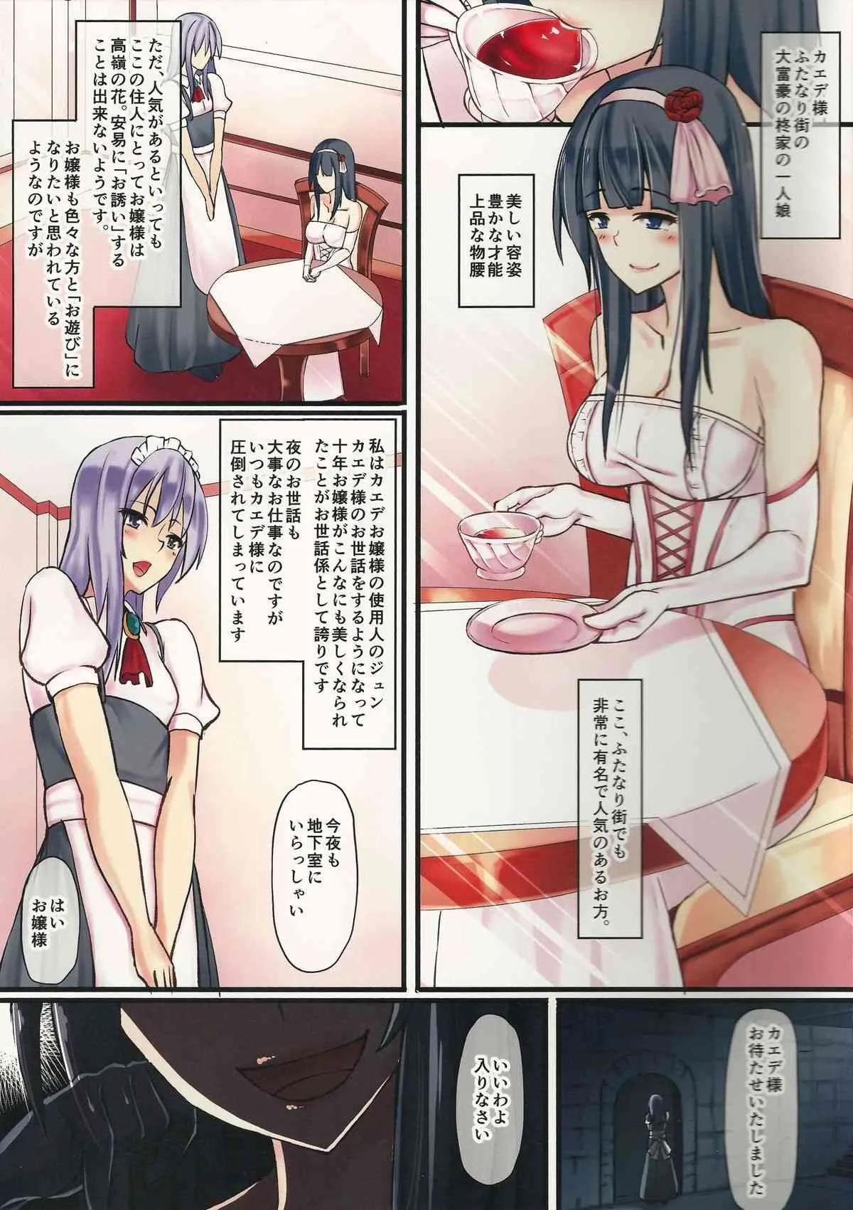 (ふたけっと11) [タピオカボックス (にゅーひん)] お嬢様と使用人_3