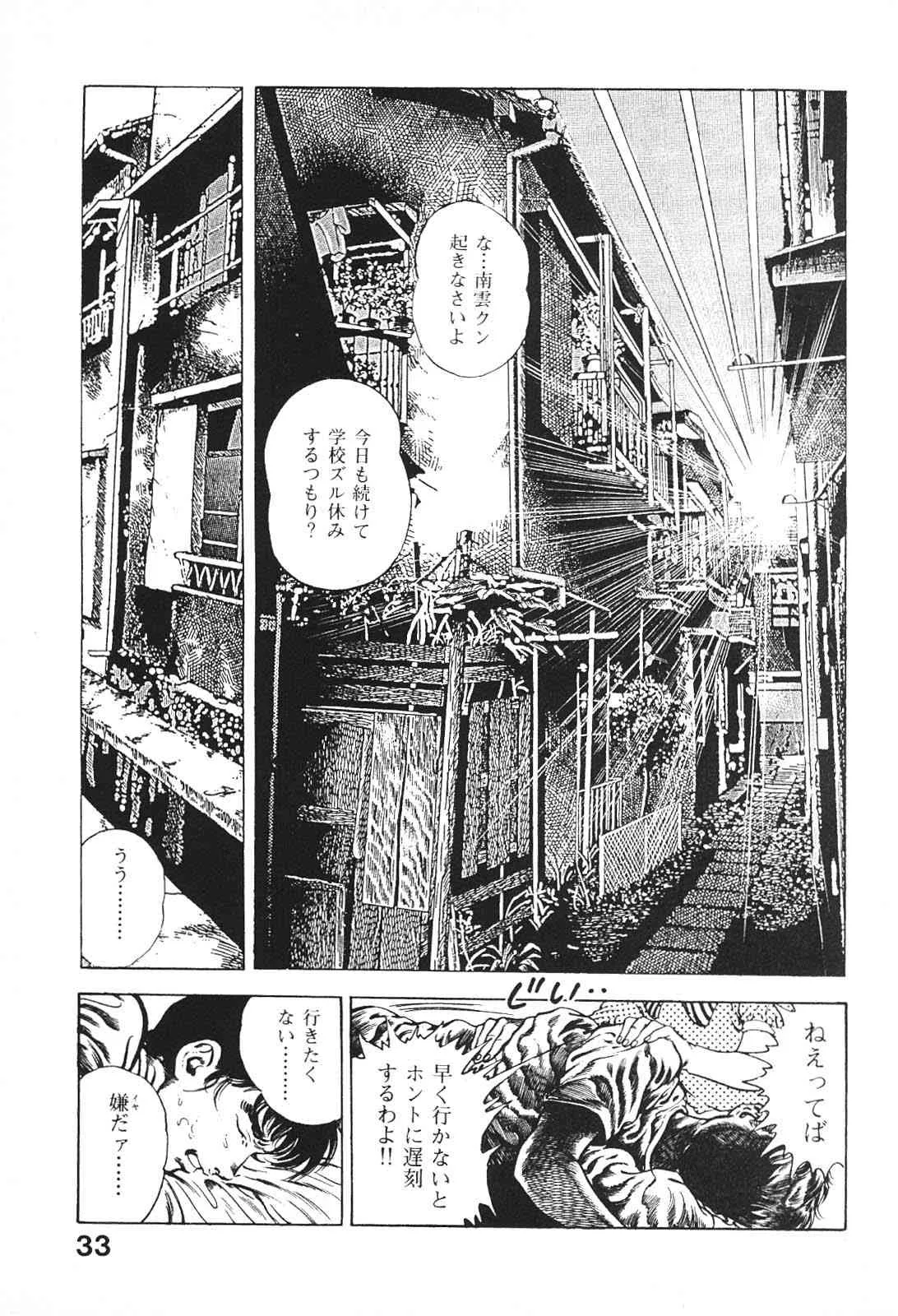 image_33