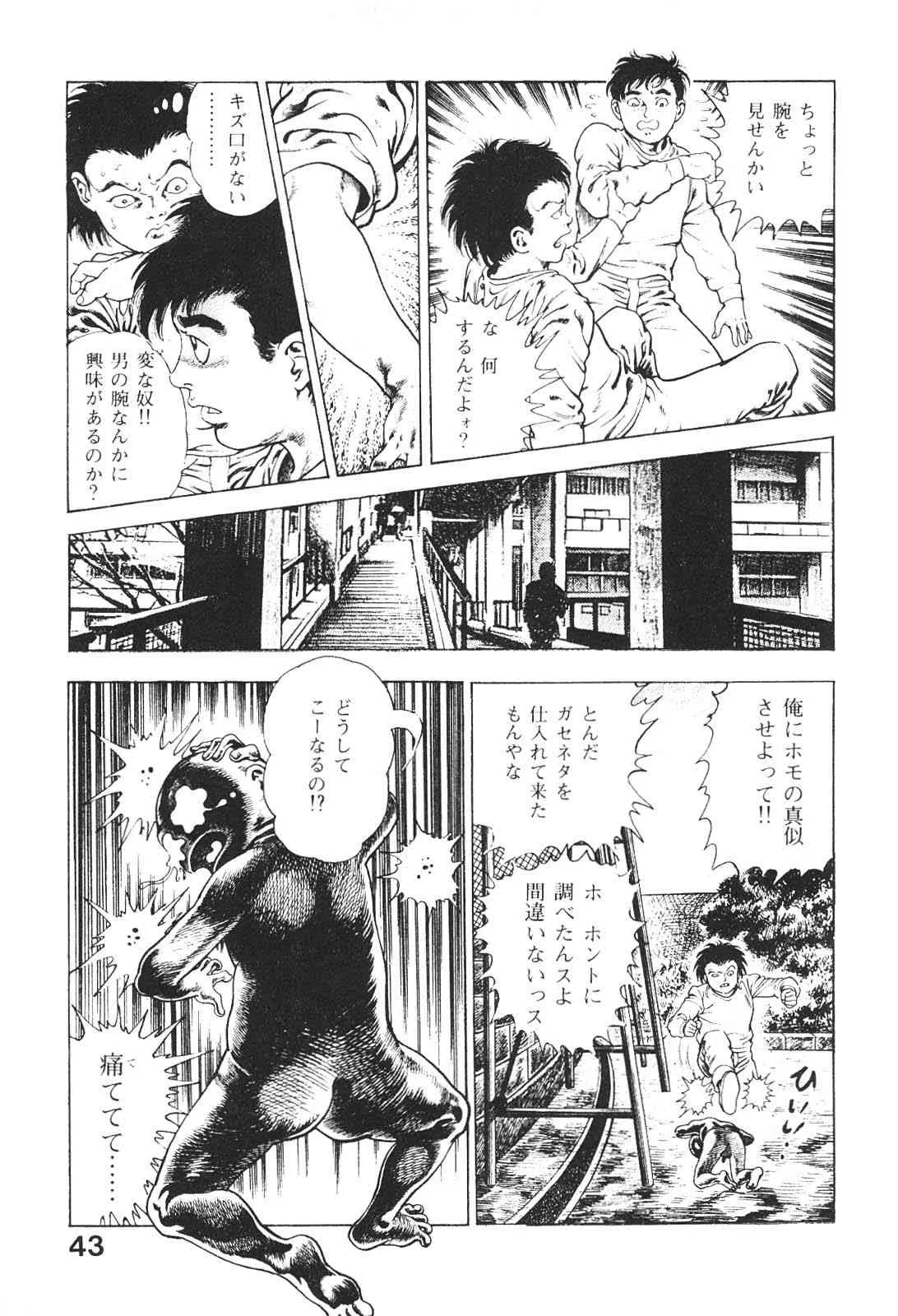 image_44