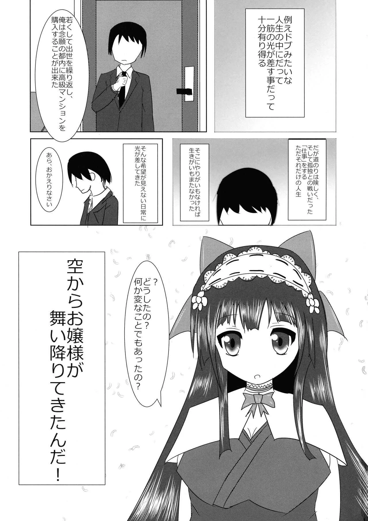[あんみつ旅館 (ヨルヨル)] 真夜中★おじょうさま (戦国コレクション)_3