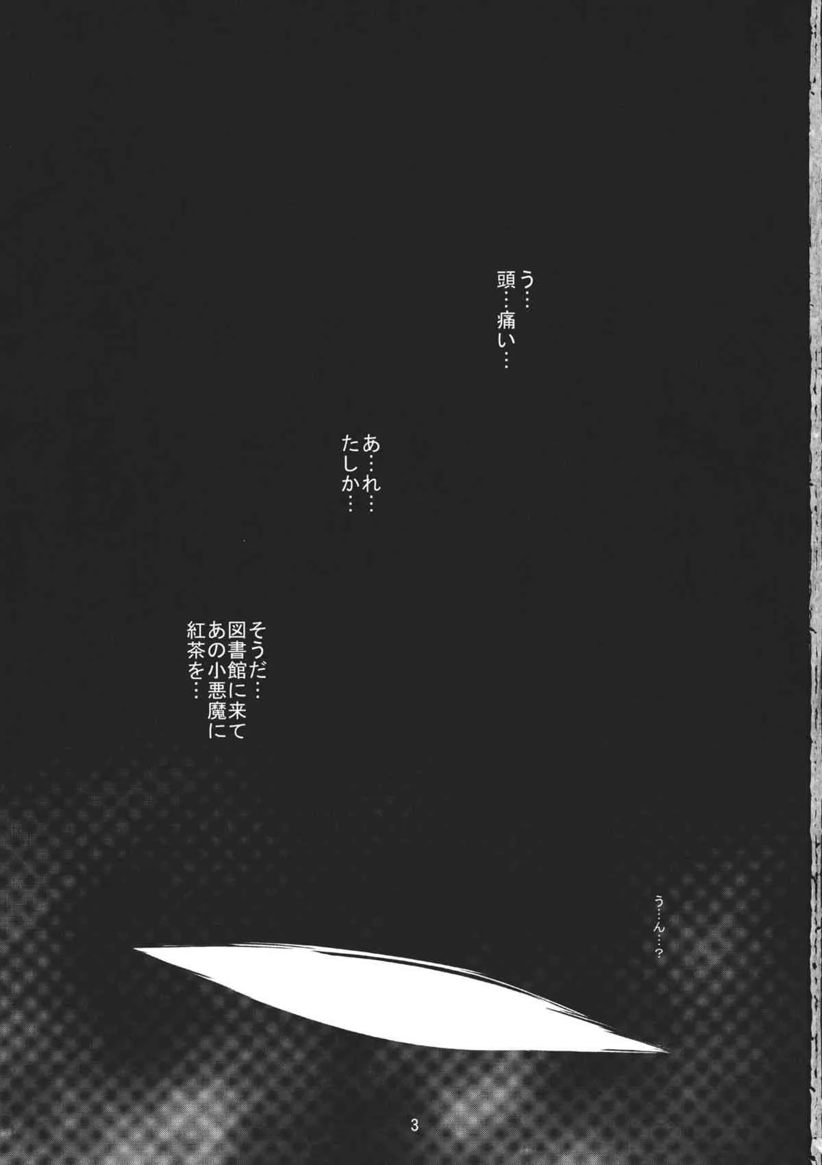 (C81) [きつねとぶどう] 霧雨散花 (東方Project)_3