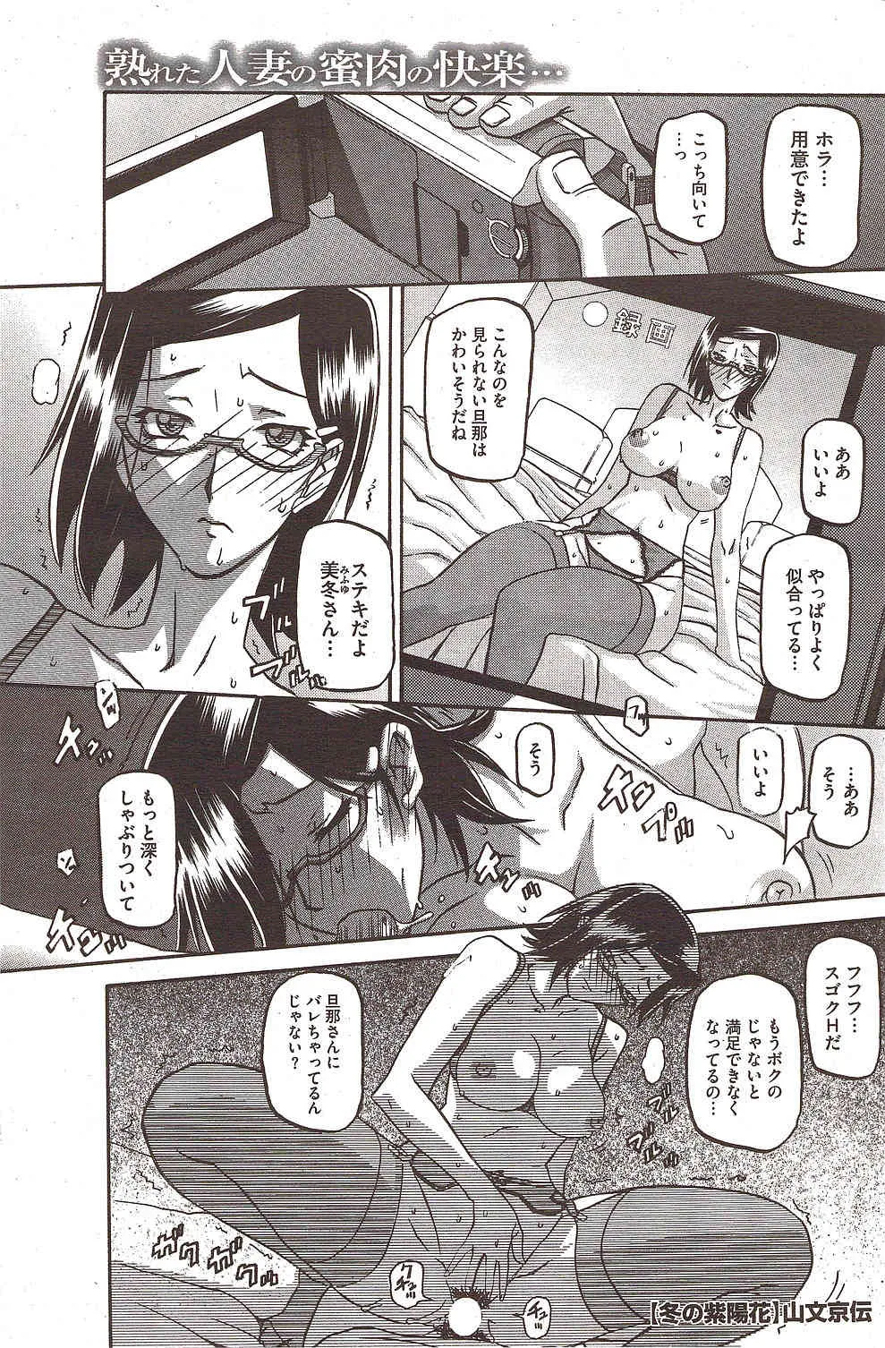 [山文京伝] 冬の紫陽花