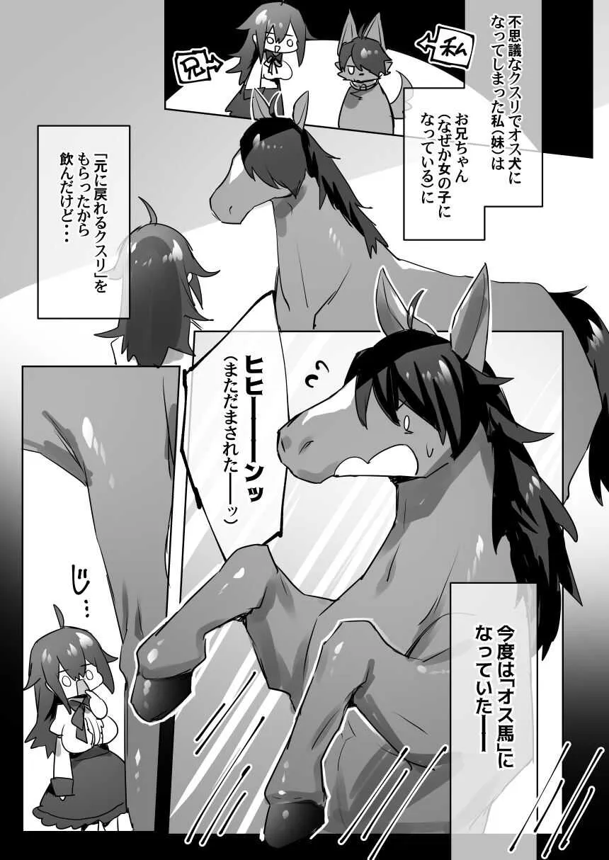 [ぽこてん] オス馬になった妹と女体化した兄がなんかする漫画 (ﾘｸｴｽﾄ)