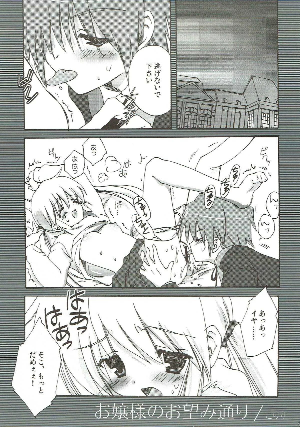 [こりすや (こりす)] お嬢様のお望み通り (ハヤテのごとく!)_4