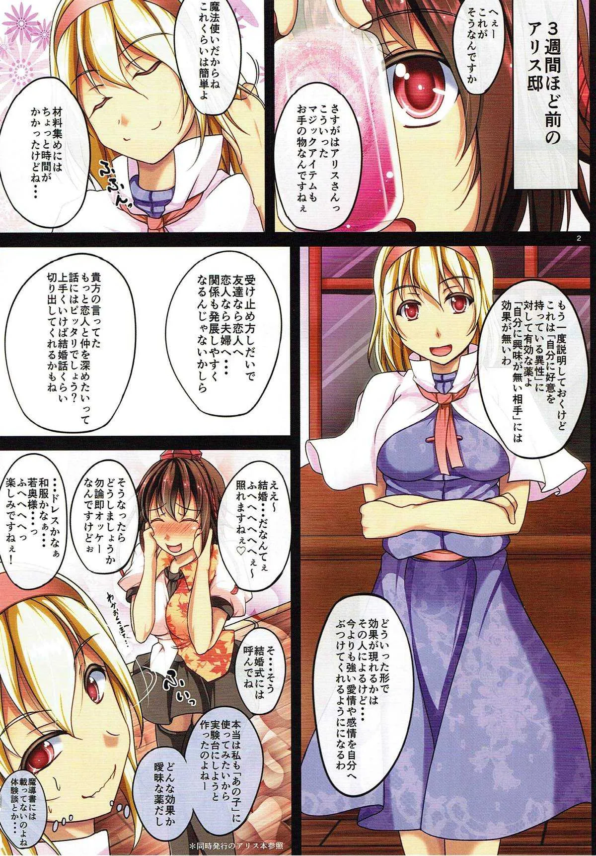 (C87) [Penetrate (零覇)] その天狗彼女につき 恋の媚薬と温泉と (東方Project)_3