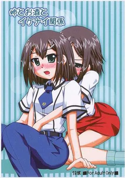 [やどかに大回転 (河本ゆつき)] 姉とお酒とイケナイ関係 (バカとテストと召喚獣) [ページ欠落]