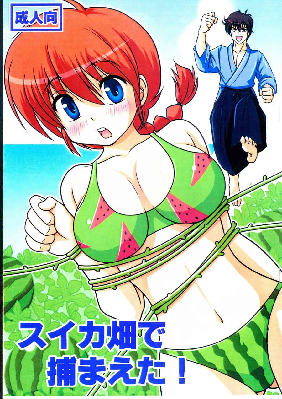 (C84) [ほしとつきと (しめたひろみつ)] スイカ畑で捕まえた! (らんま1/2) [カラー化]