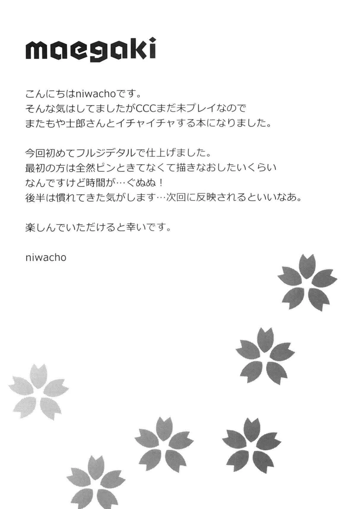 (C84) [TRIP SPIDER (niwacho)] cado2 (Fate/stay night)_3