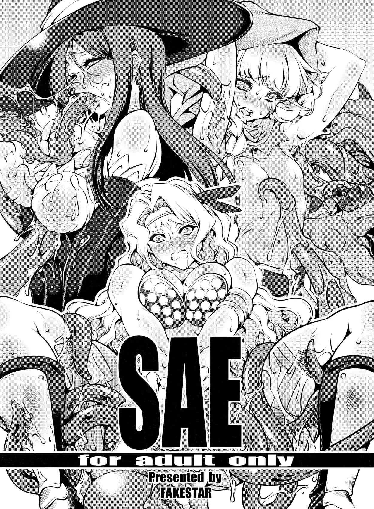 [FAKE STAR (美春)] SAE (ドラゴンズクラウン)