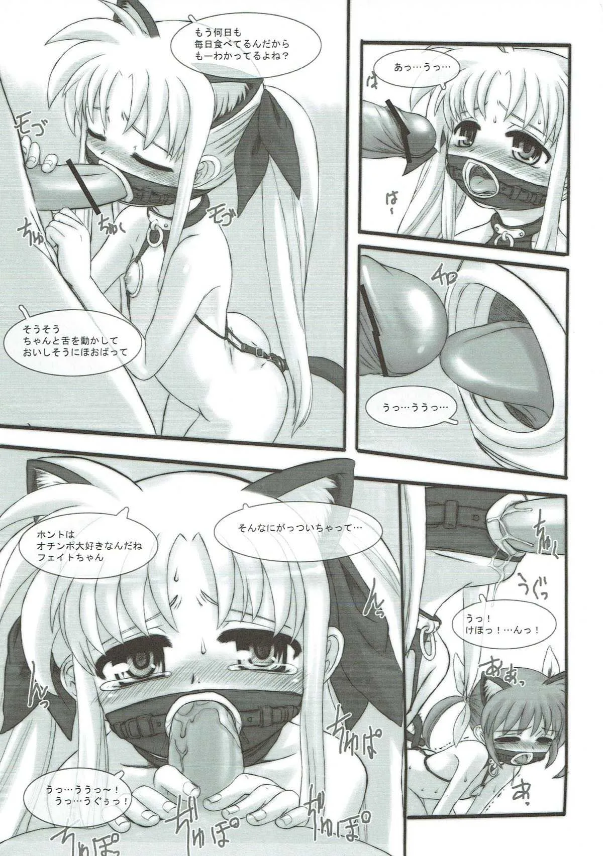 (C80) [メルヘンBOX (よろず)] なのパラ9 (魔法少女リリカルなのは)_10