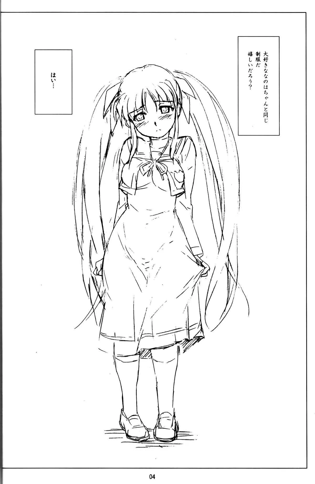[其レ屋 (西月力)] 籠の中の少女 a girl in a cage Vol.2 (魔法少女リリカルなのは)_3