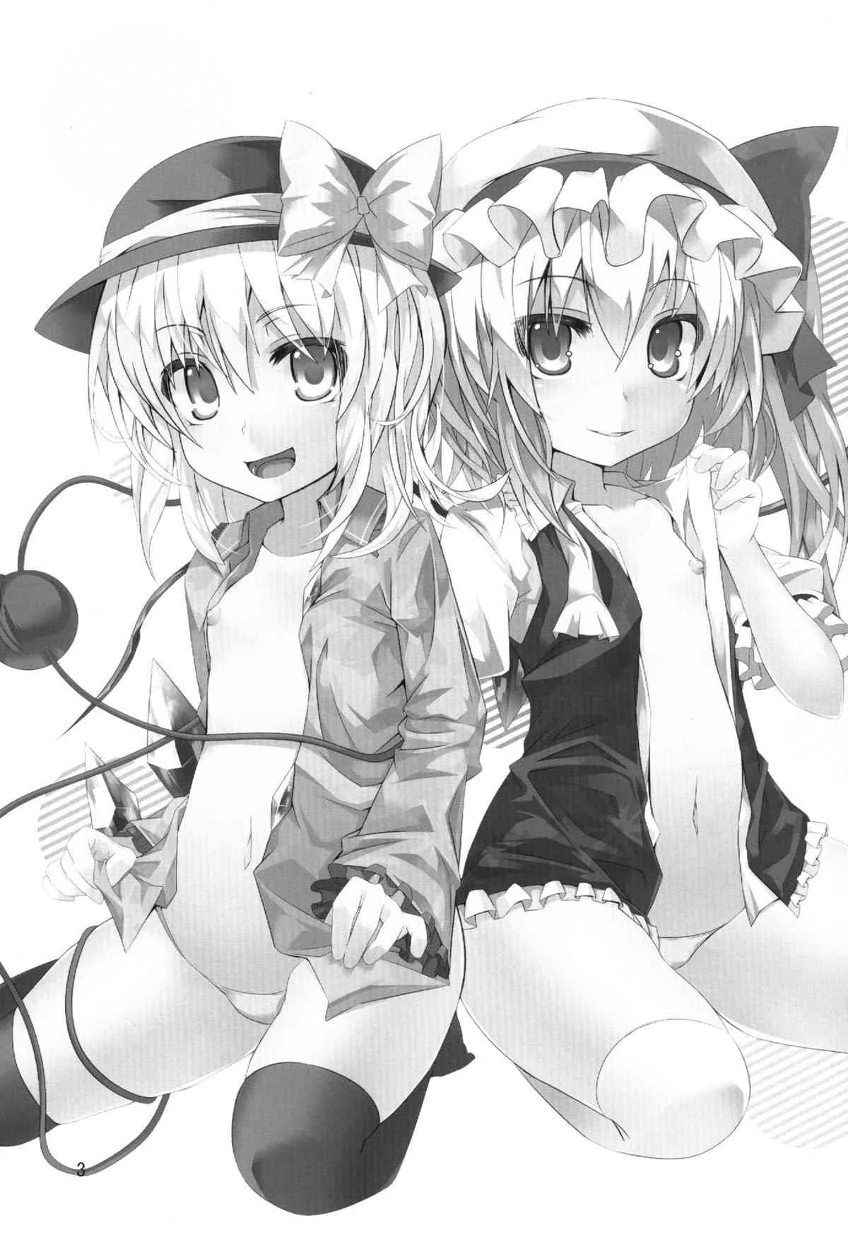 (C84) [天使の羽 (蘭戸せる)] こいしたい ふらんしたい (東方Project)_3