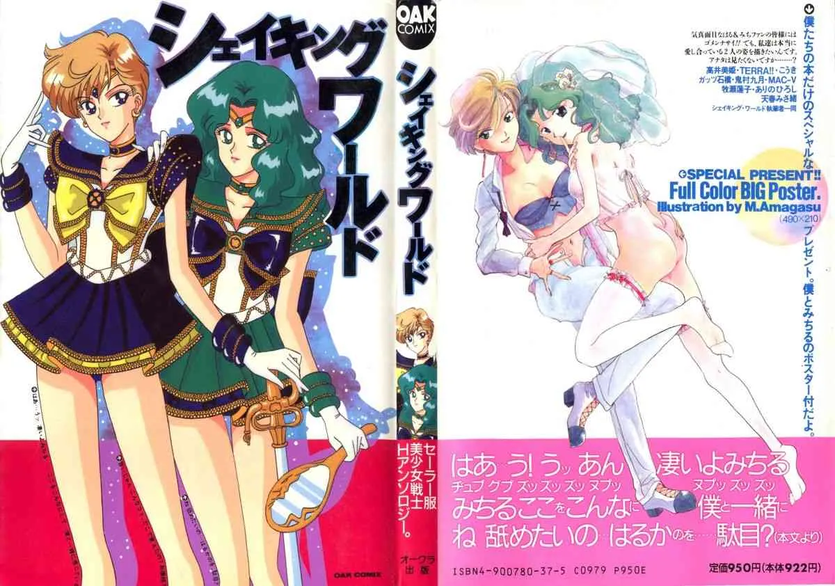 シェイキングワールド(セーラームーン)