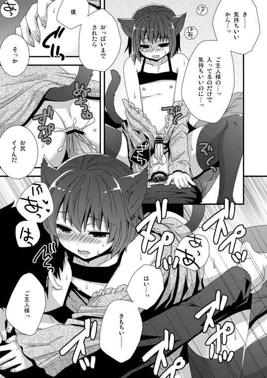 [Siro] 子猫拾いました_5