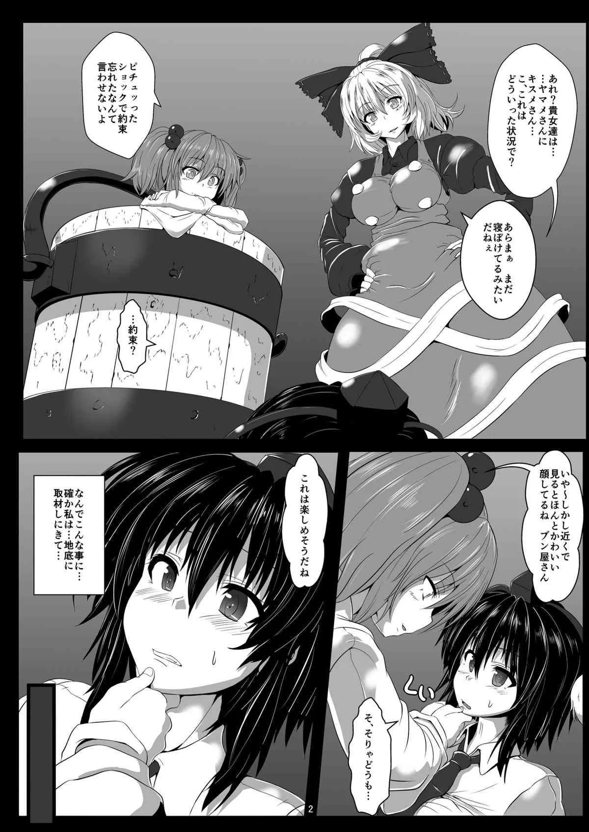 (C84) [雲八屋 (雲衛門)] 触縛・弐 ～鴉調教～ (東方Project)_4