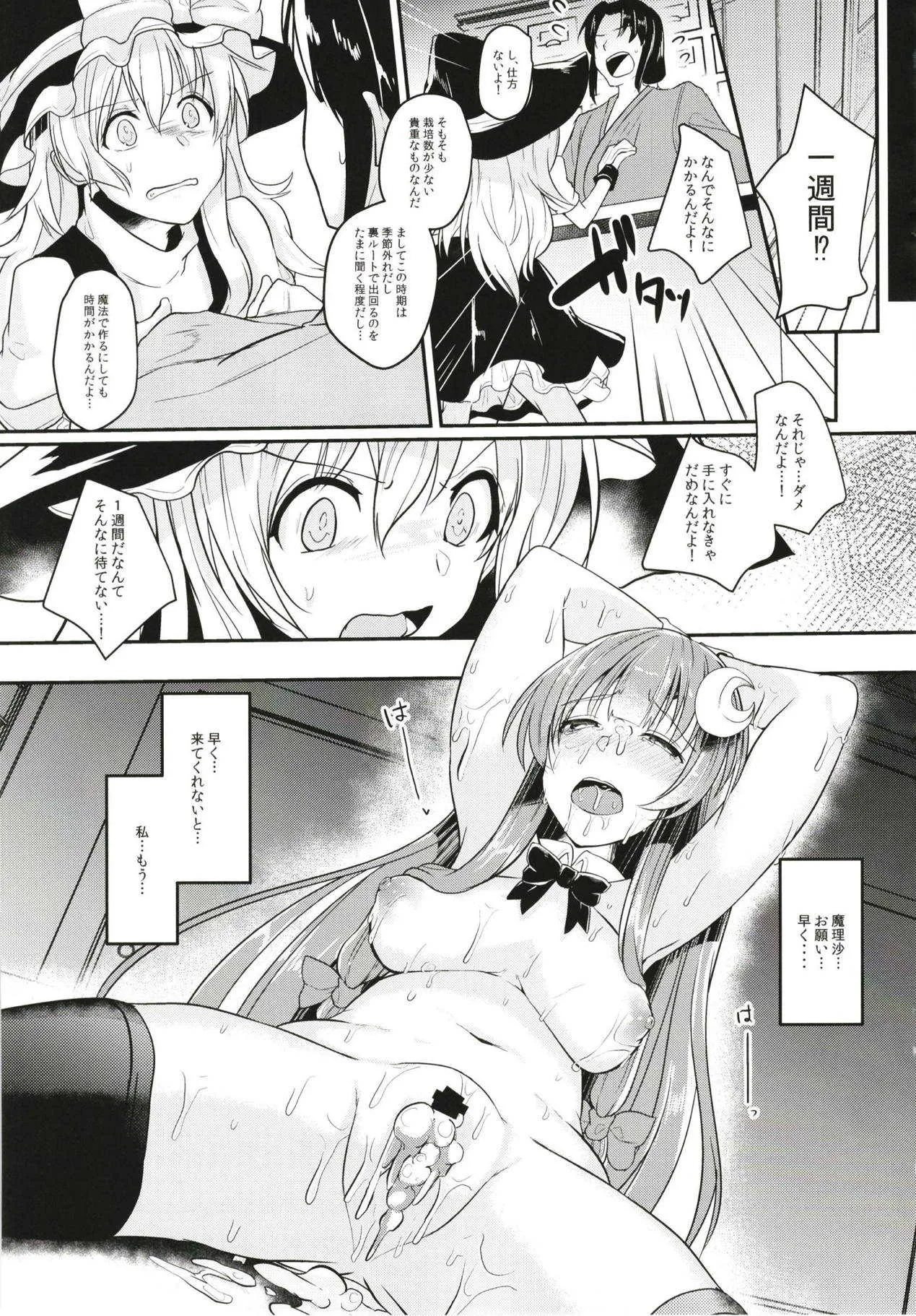 (例大祭15) [空想モノクローム (あび)] 身代わりのパチュリー (東方Project)_4