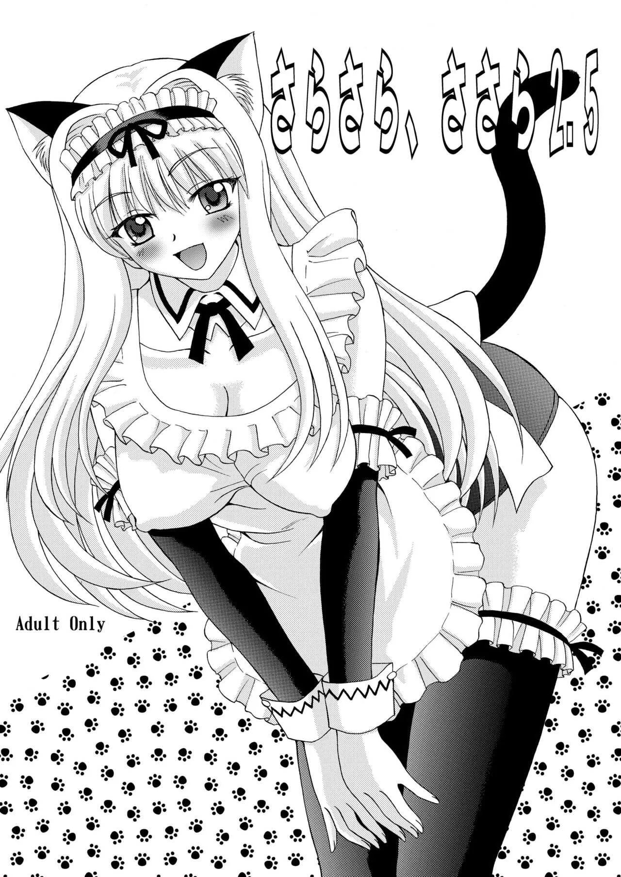 [やすりん堂 (安麟太郎)] さらさら、ささら2.5 (トゥハート2) [DL版]