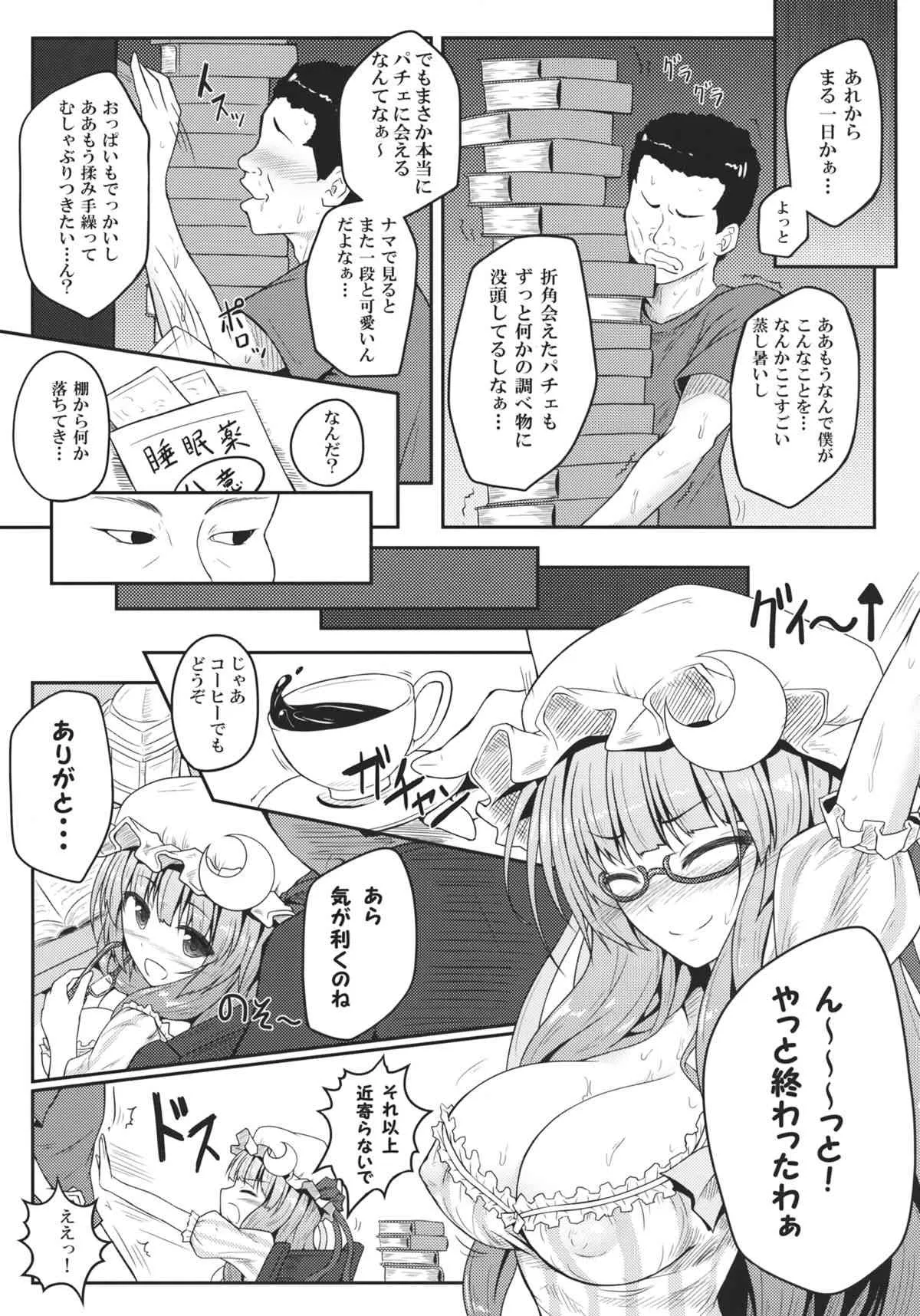 (C83) [e☆ALI-aL! (ありえす渡辺)] 蒸ちゅり～! (東方Project)_6