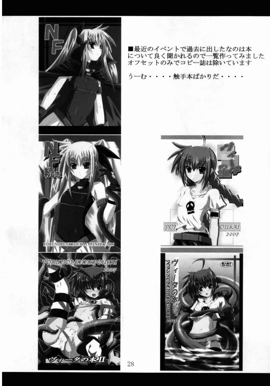(C75) [夜の勉強会 (明日頼真咲 、ふみひろ)] VH (魔法少女リリカルなのは)_3
