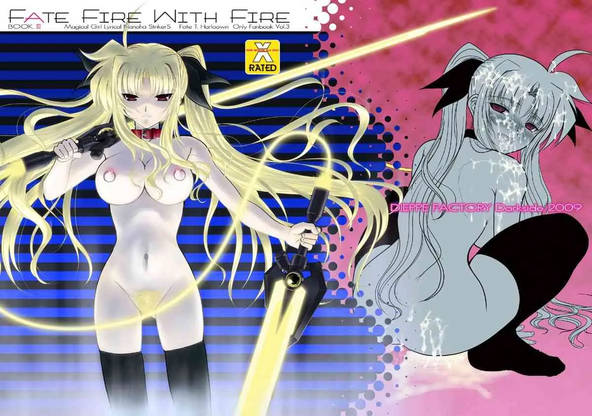 [DIEPPE FACTORY Darkside (あるぴ～ぬ)] FATE FIRE WITH FIRE Book. III (魔法少女リリカルなのは)_2