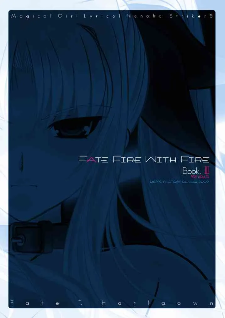 [DIEPPE FACTORY Darkside (あるぴ～ぬ)] FATE FIRE WITH FIRE Book. III (魔法少女リリカルなのは)_5