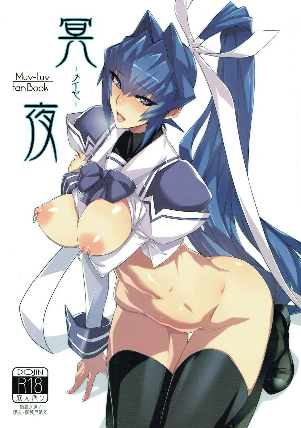 (C90) [MBL (よろず)] 冥夜 -メイヤ- (マブラヴ)