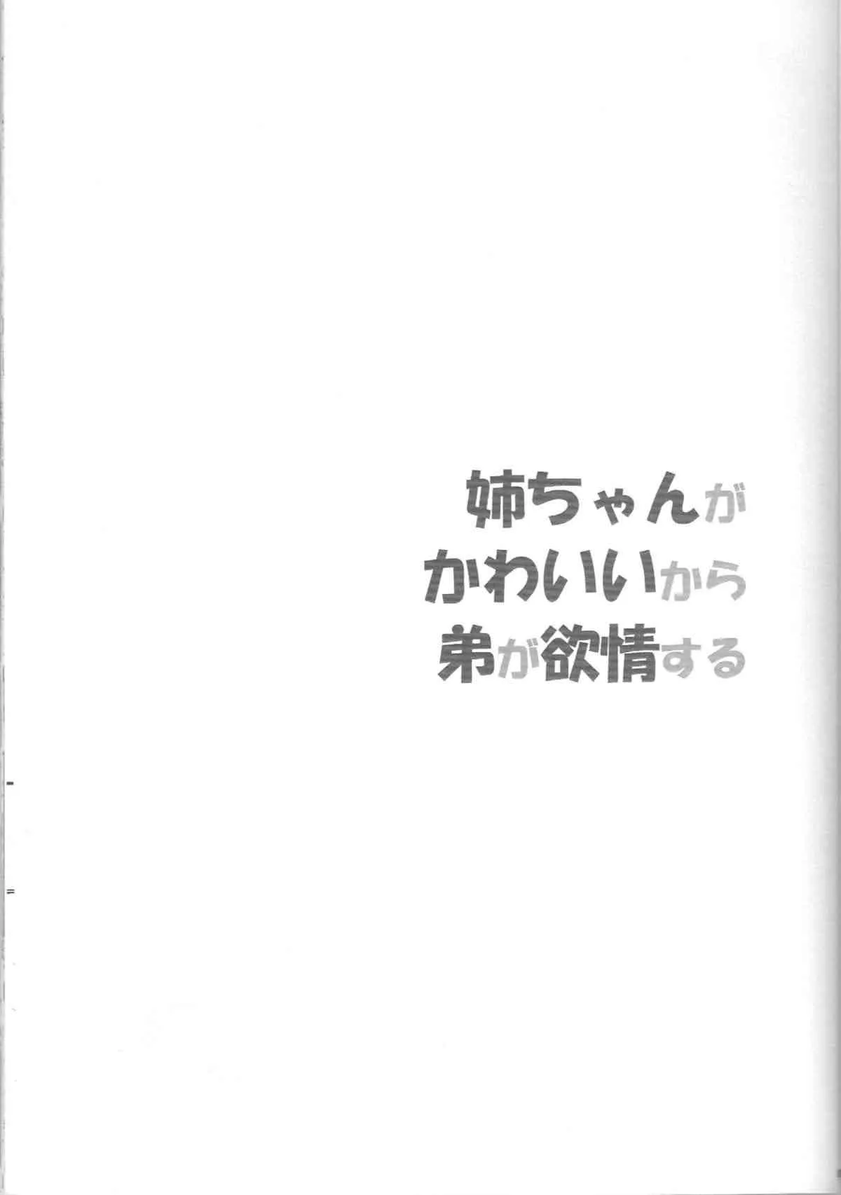 (こみトレ22) [もんてかるろ屋 (瀬菜モナコ)] 姉ちゃんがかわいいから弟が欲情する (私がモテないのはどう考えてもお前らが悪い！)_2