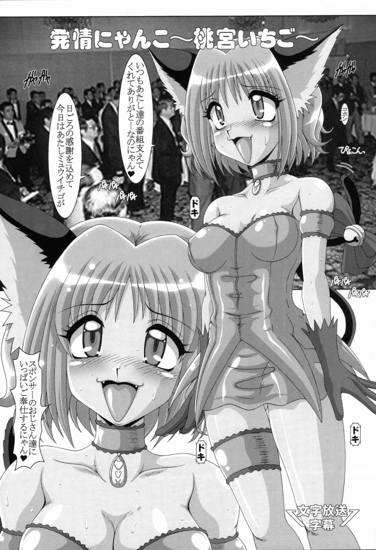 (C61) [白液書房 (A輝廃都)] 調教ミュウミュウ (東京ミュウミュウ)_4