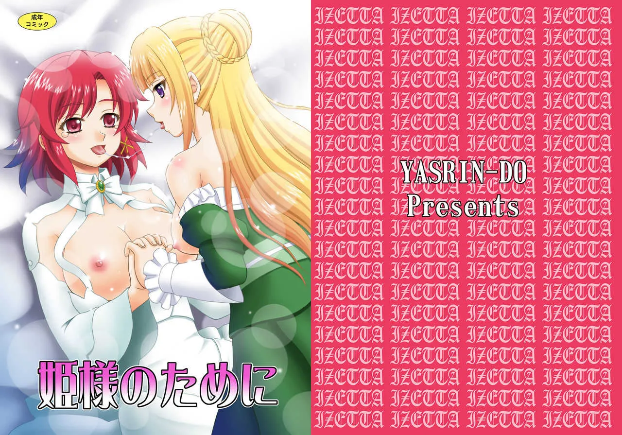 [やすりん堂 (安麟太郎)] 姫様のために (終末のイゼッタ) [DL版]