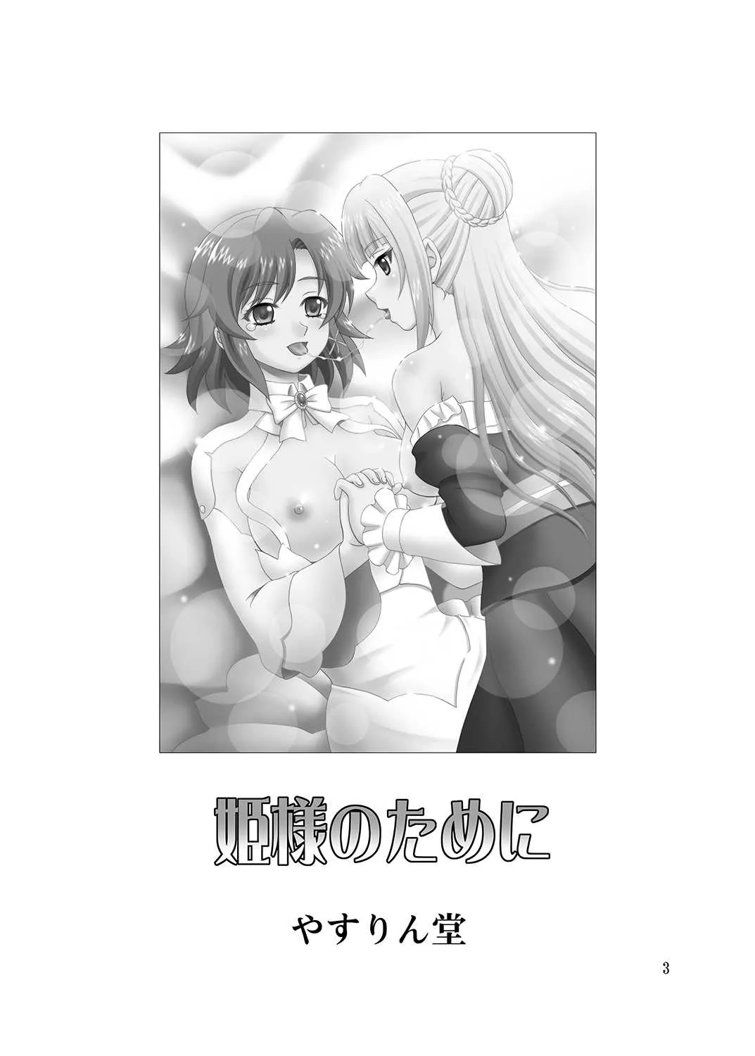 [やすりん堂 (安麟太郎)] 姫様のために (終末のイゼッタ) [DL版]_2