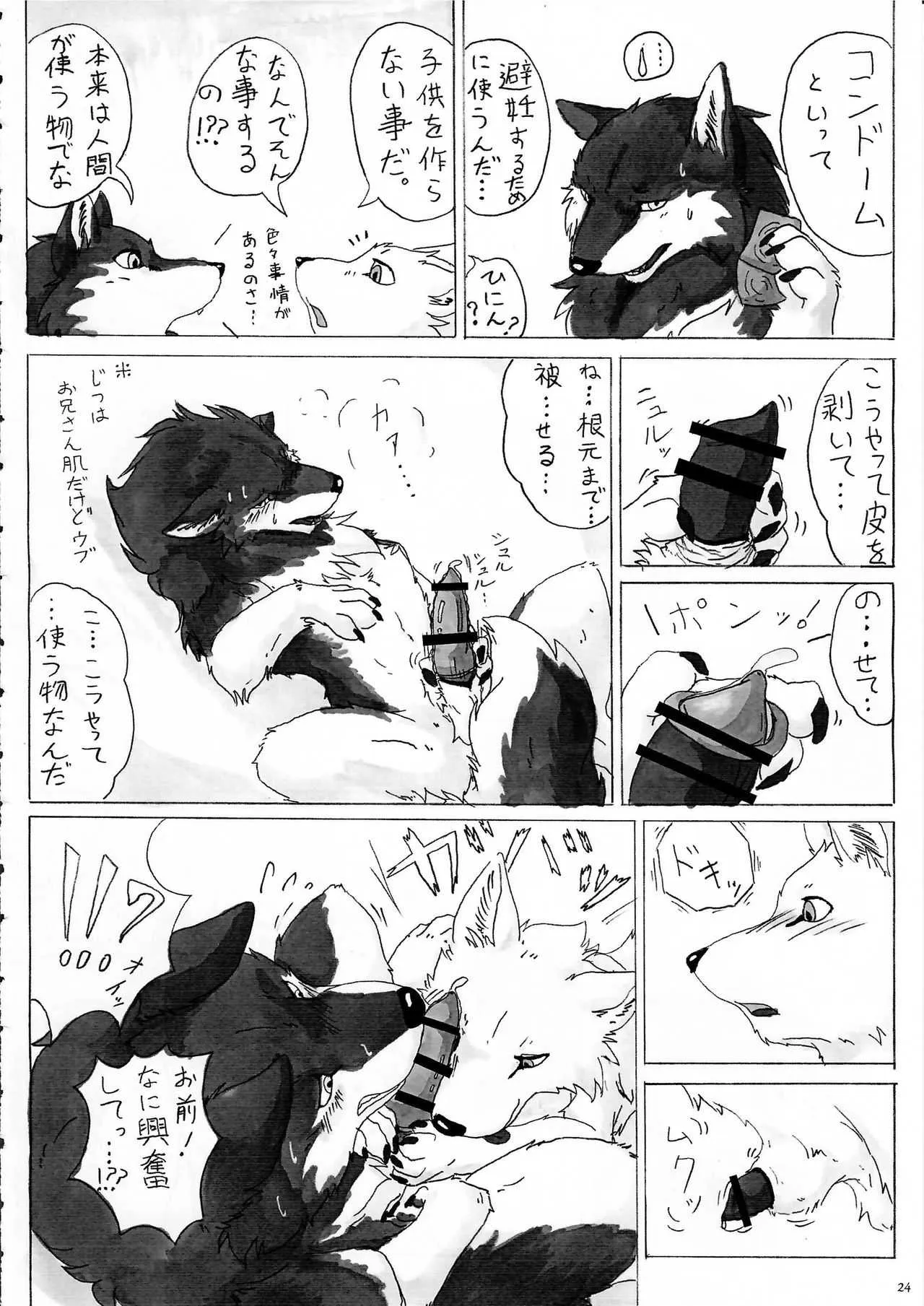 (関西!けもケット3) [KTQ48 (よろず)] KTQ7_4
