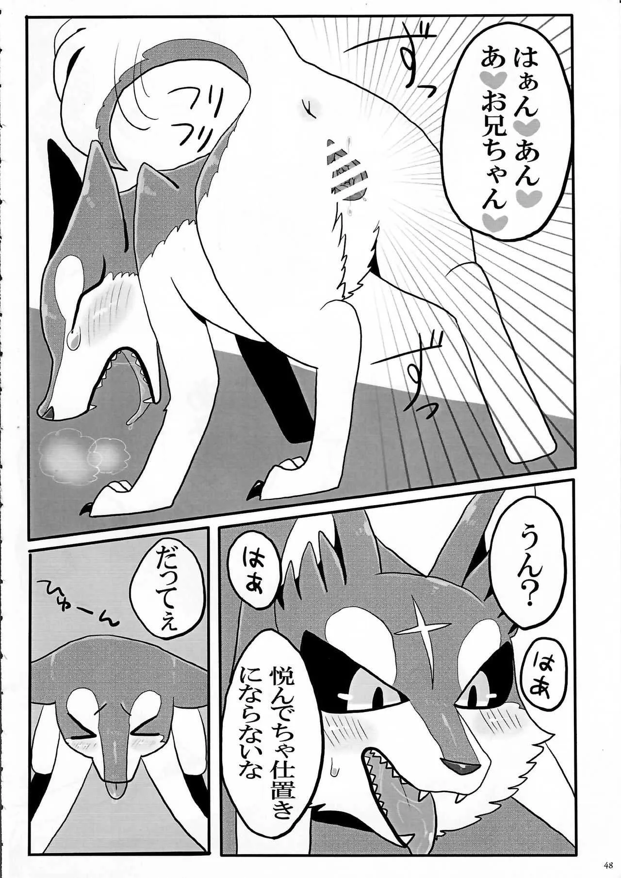 (関西!けもケット3) [KTQ48 (よろず)] KTQ7_7