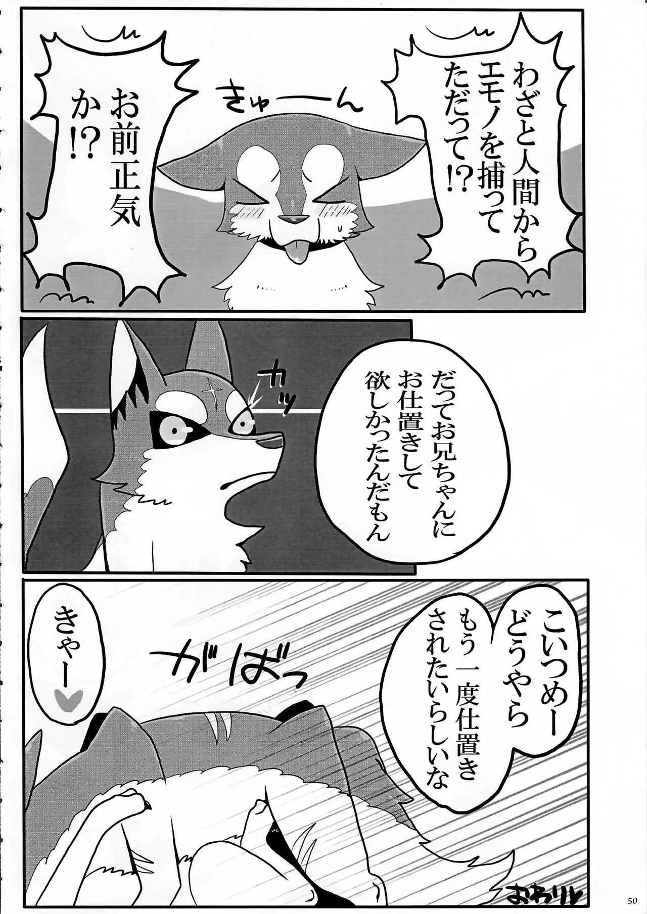 (関西!けもケット3) [KTQ48 (よろず)] KTQ7_9